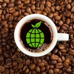 Les Cafés Bio et Equitables